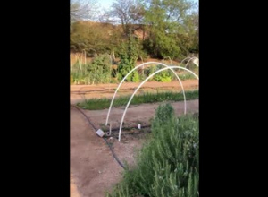 Community Gardens of Tucson